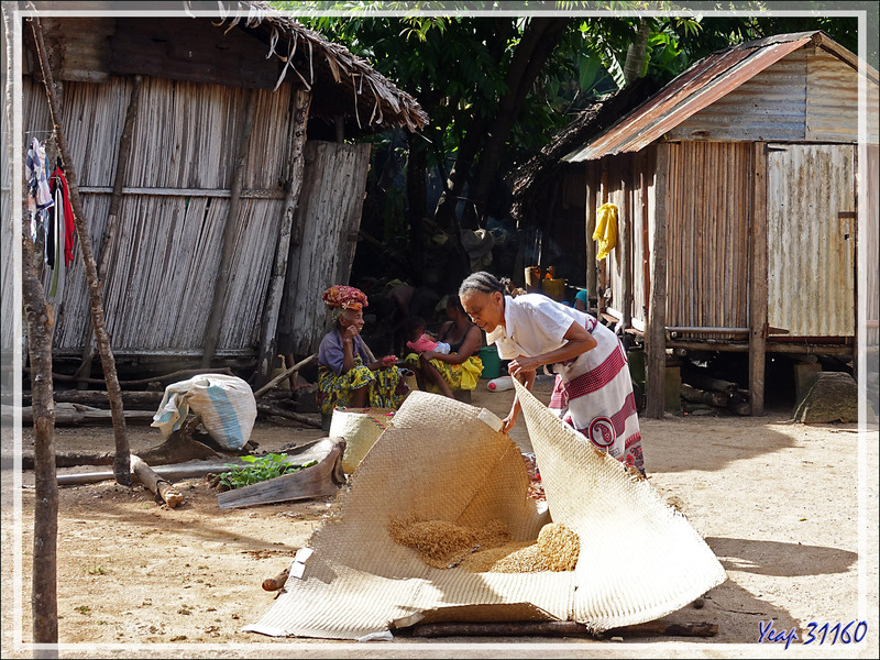 Séchage du riz - Antanabe - Nosy Sakatia - Madagascar