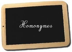 Homonymes