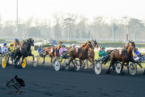 Prix Michel Marcel Gougeon