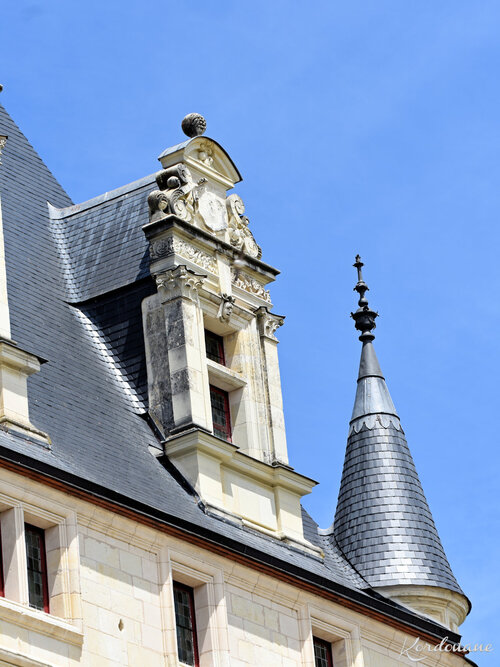 Photos des toits du château de Valençay (Indre)