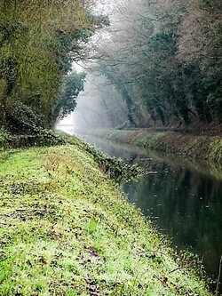 Notre belle Belgique: l'ancien canal de Maubray (proche de la France)