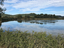 Le lac de la Madine