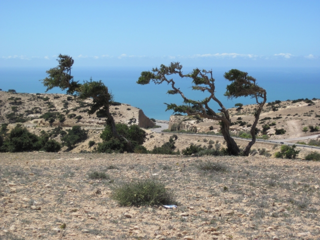 Maroc Entre Agadir et Essaouira