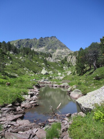 Bivouac (3 nuits) : des étangs et des fleurs depuis le vallon du Mourguillou (Merens) - 09