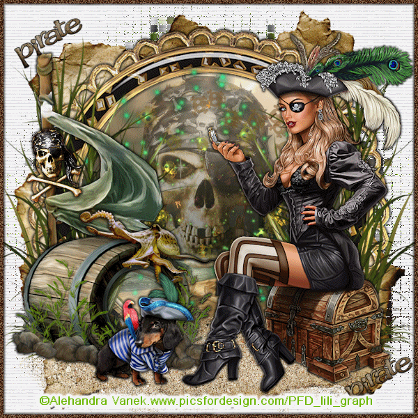 Pirate