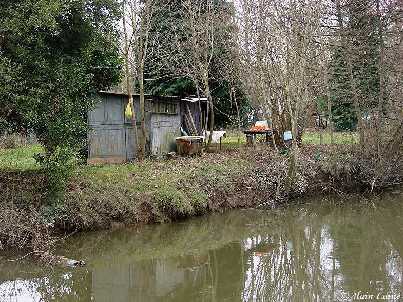 Les_berges_de_l_Ille_19Fev09_7