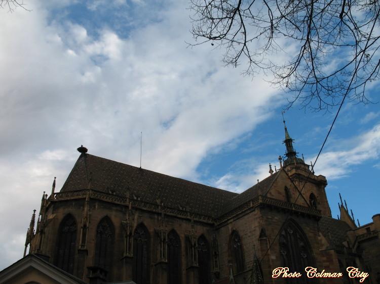 Colmar le nez en l’air : Cigogne
