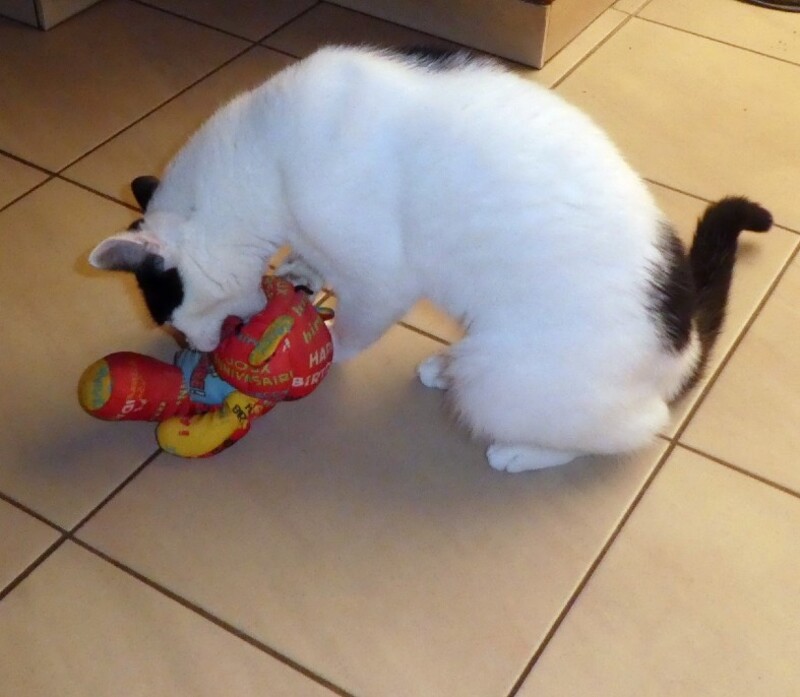 BONI  .....  JE  FOUS  UNE  RACLEE  AU  DOUDOU