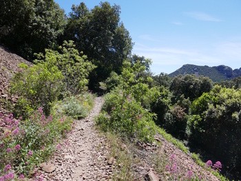 Vers le col des Lentisques