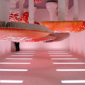 Upside-Down Mushroom Room by Carsten Höller