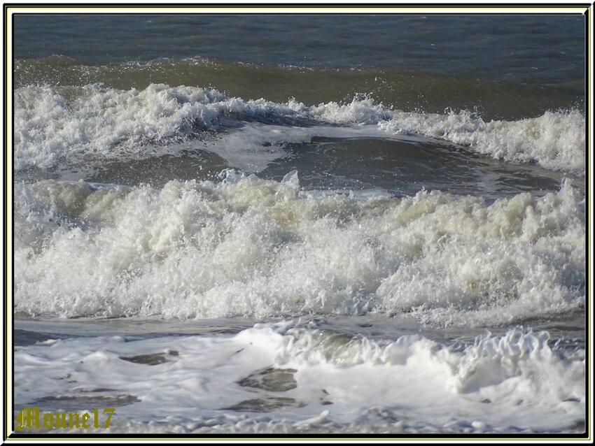 Un dimanche à la plage