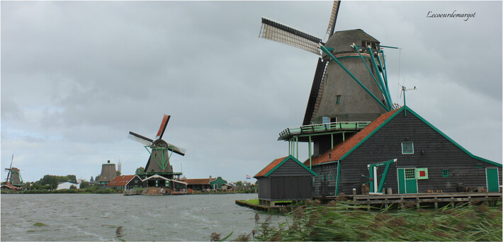 Les moulins de Zaanse Schans