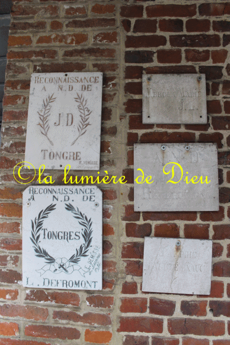 Basilique Notre-Dame de Tongre