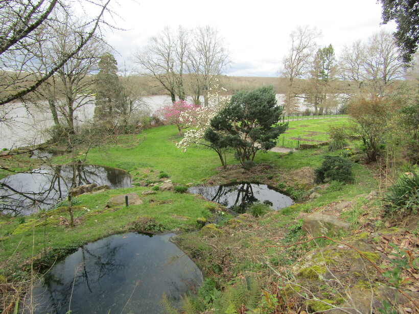 !!! BALADE CE 6 MARS SOUS UN CIEL GRIS !!!