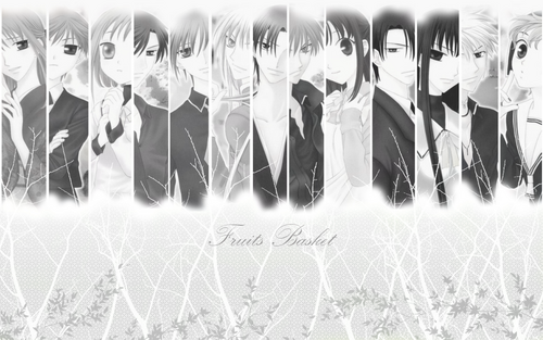 Fruits Basket