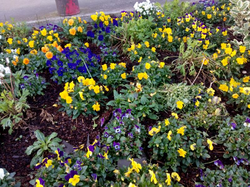 Toulenne (Gironde) ville fleurie