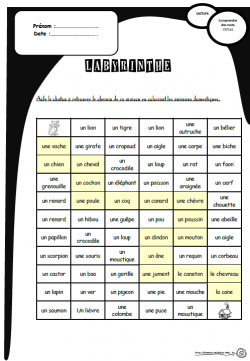 Des labyrinthes pour comprendre des mots, lire, lecture, cp, ce1, compréhension, catégorisation