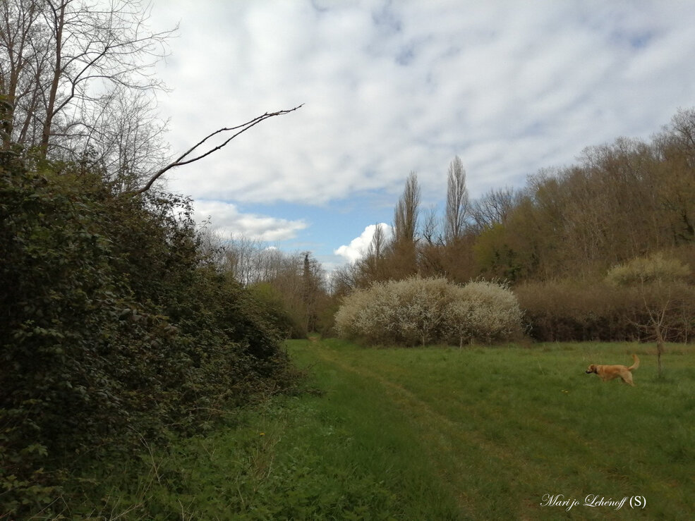 Dans la belle nature