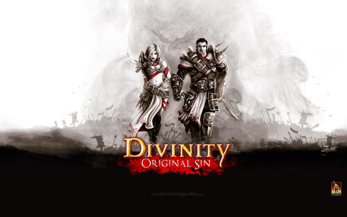 Divinity Original Sin... Le jeu qui a volé mon âme...