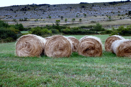 Le Clat : village d’Occitanie 