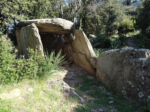 * SAINT JEAN D'ALBERE le pic Sant Cristau