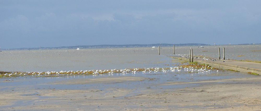 Instants de repos après la tempête...