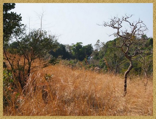 Parc national de l'Upemba