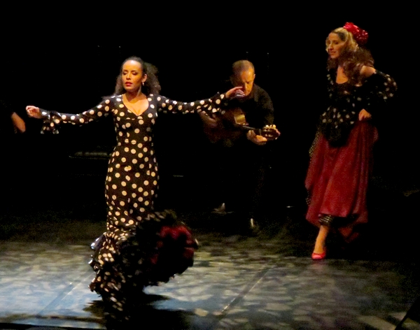 "Carmen Flamenco", un superbe spectacle de théâtre, de danse flamenco et de chant a enthousiasmé les spectateurs du Théâtre Gaston Bernard !