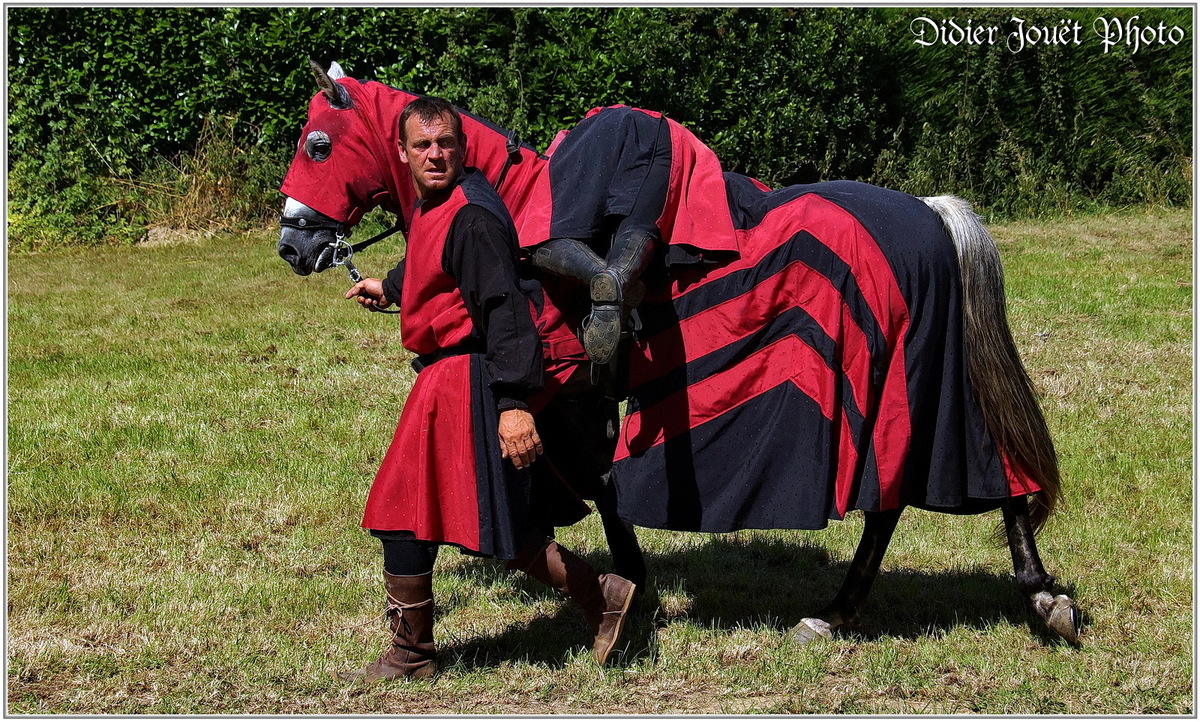 Médiévales de Commequiers 2015 (2) - Le Tournoi des Chevaliers