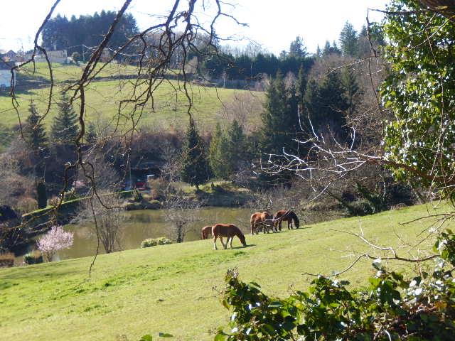 Idée de randonnée nature avec les cascades de Bialet 2/2