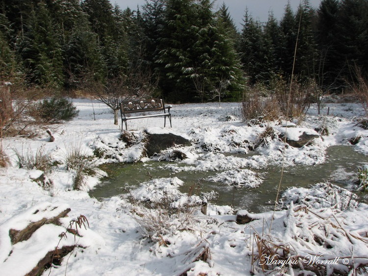 Nouvelles du Canada 162 : Kuali aime la neige