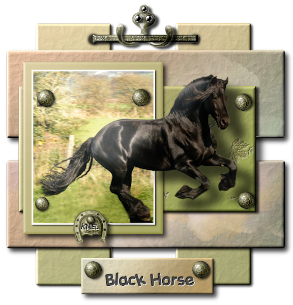 "Black Horse"