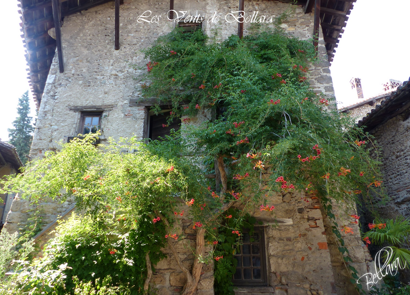 Pérouges - 15