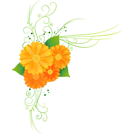 tubes fleurs / bouquets 