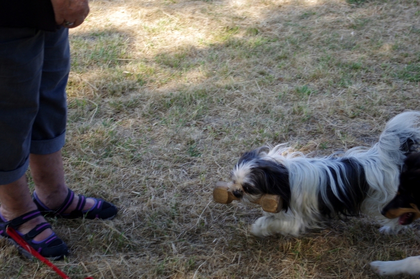 Entraînement du dimanche 21 juillet 2013