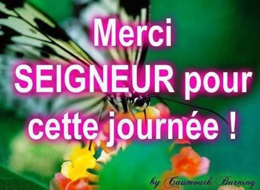 RÃ©sultats de recherche d'images pour Â«Â merci seigneur pour cette journÃ©eÂ Â»