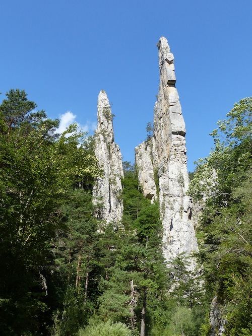 Sucettes de Borne (Haut Diois)