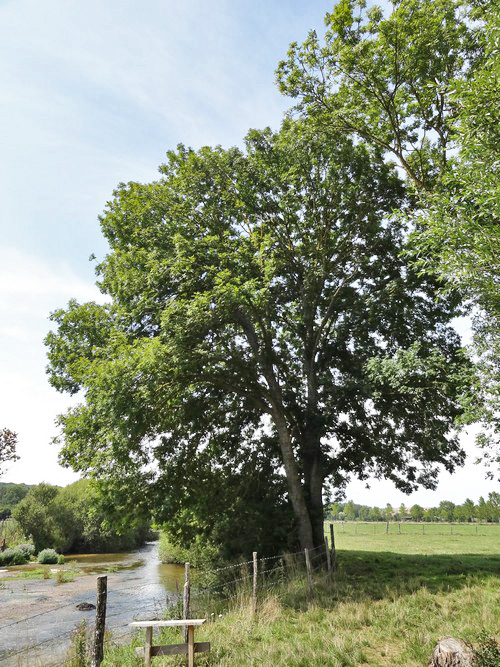 L'eau et l'environnement