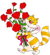 chat roses