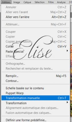 Redresser une image par transformation manuelle