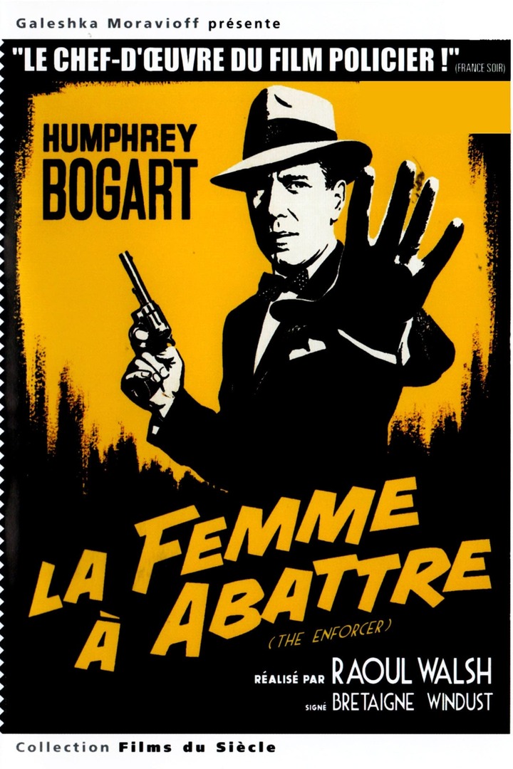 La Femme A Abattre (1951) Dual Audio HDLight1080p x264 AAC - B. Windust & Raoul Walsh