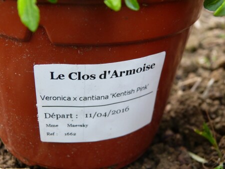 Arrivage du Clos d'armoise