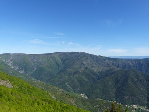 Sur les traces du Mouflon (L'Espérou - Aigoual)