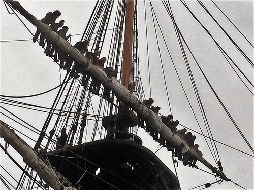 Ceux de l'hermione