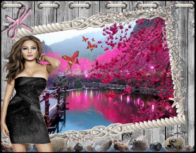 ❤️ Un petit coucou les belles choses passent trop vite bisous à tous ❤️