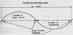 Les Biorythmes