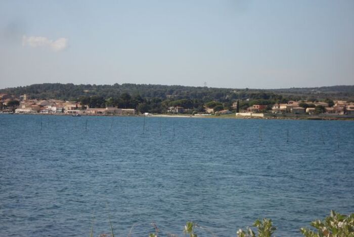 Autour de l'étang de Thau...Hérault.