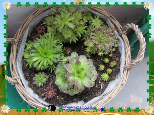 Le jardin est installé sur le balcon