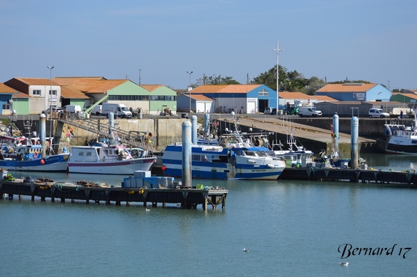 G3- Le Port de la Cotinière 12/10/2021 suite