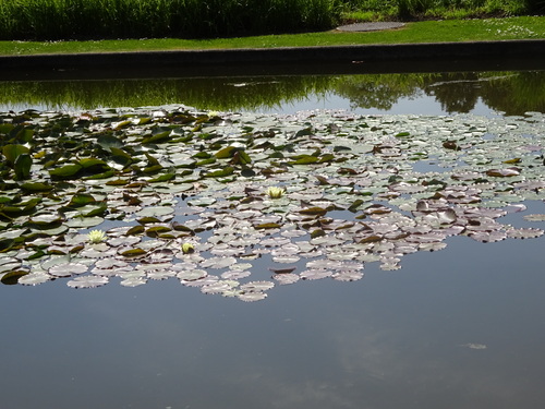 Toujours dans l'autre parc !